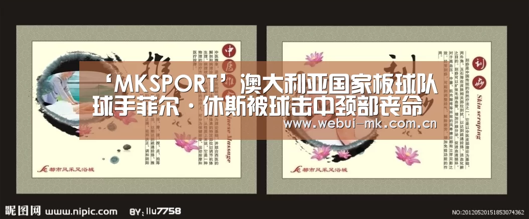 MK体育官方网站
