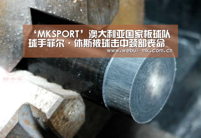 ‘MKSPORT’澳大利亚国家板球队球手菲尔·休斯被球击中颈部丧命(图4)