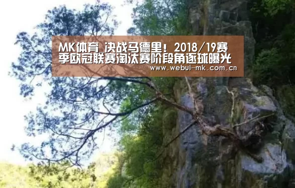 MK体育_决战马德里！2018/19赛季欧冠联赛淘汰赛阶段角