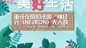 重任在肩的法国“神经元(NEURON)无人战斗机” 能是未来么|MKSPORT(图1)
重任在肩的法国“神经元(NEURON)无人战斗机” 能是未来么|MKSPORT(图1)