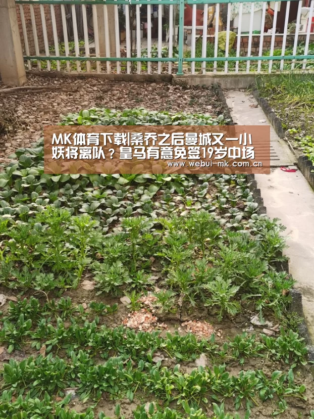 MK体育下载|桑乔之后曼城又一小妖将离队?皇马有意免签19岁中场新秀(图4) MK体育app
